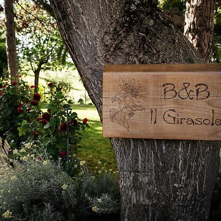 Il Girasole Bed and Breakfast Basciano Exteriör bild