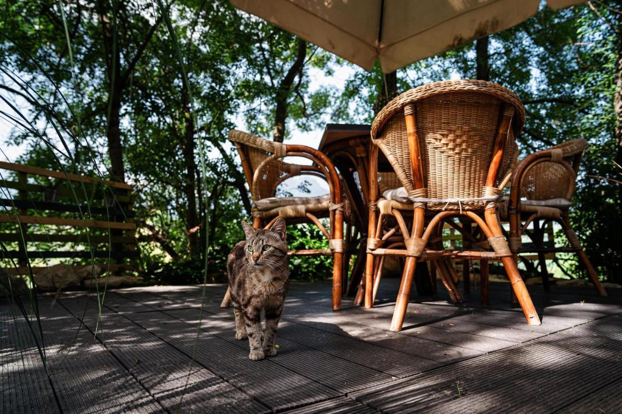 Il Girasole Bed and Breakfast Basciano Exteriör bild