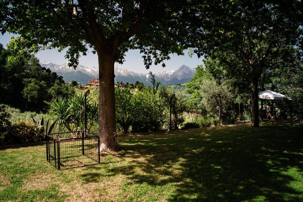 Il Girasole Bed and Breakfast Basciano Exteriör bild