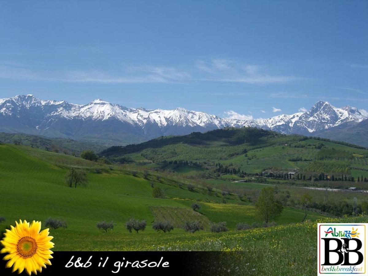 Il Girasole Bed and Breakfast Basciano Exteriör bild