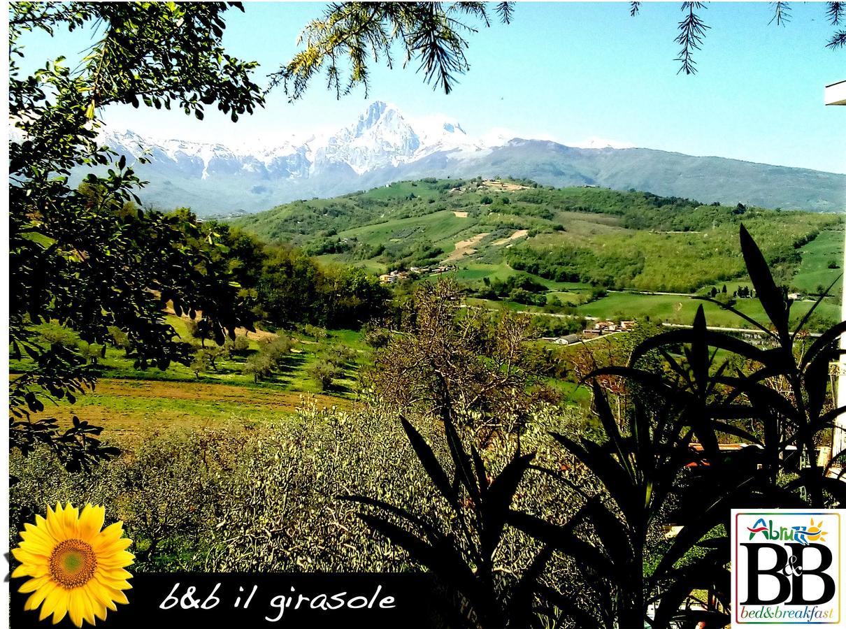 Il Girasole Bed and Breakfast Basciano Exteriör bild